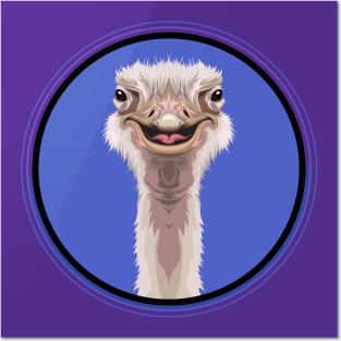 Ostrich Circle Posters and Art